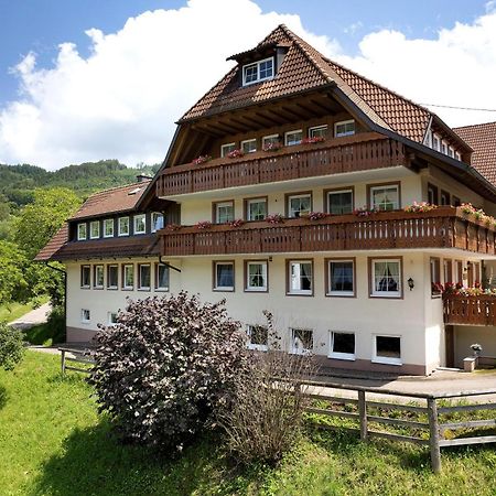 Appartement Danielenhof à Freiamt Extérieur photo