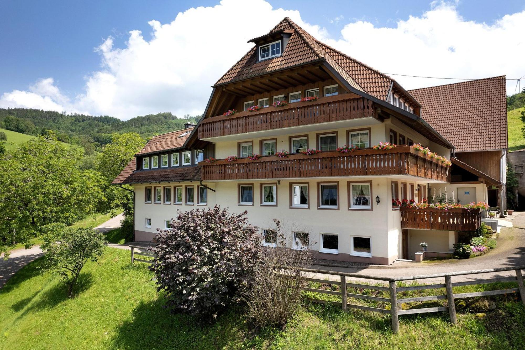 Appartement Danielenhof à Freiamt Extérieur photo
